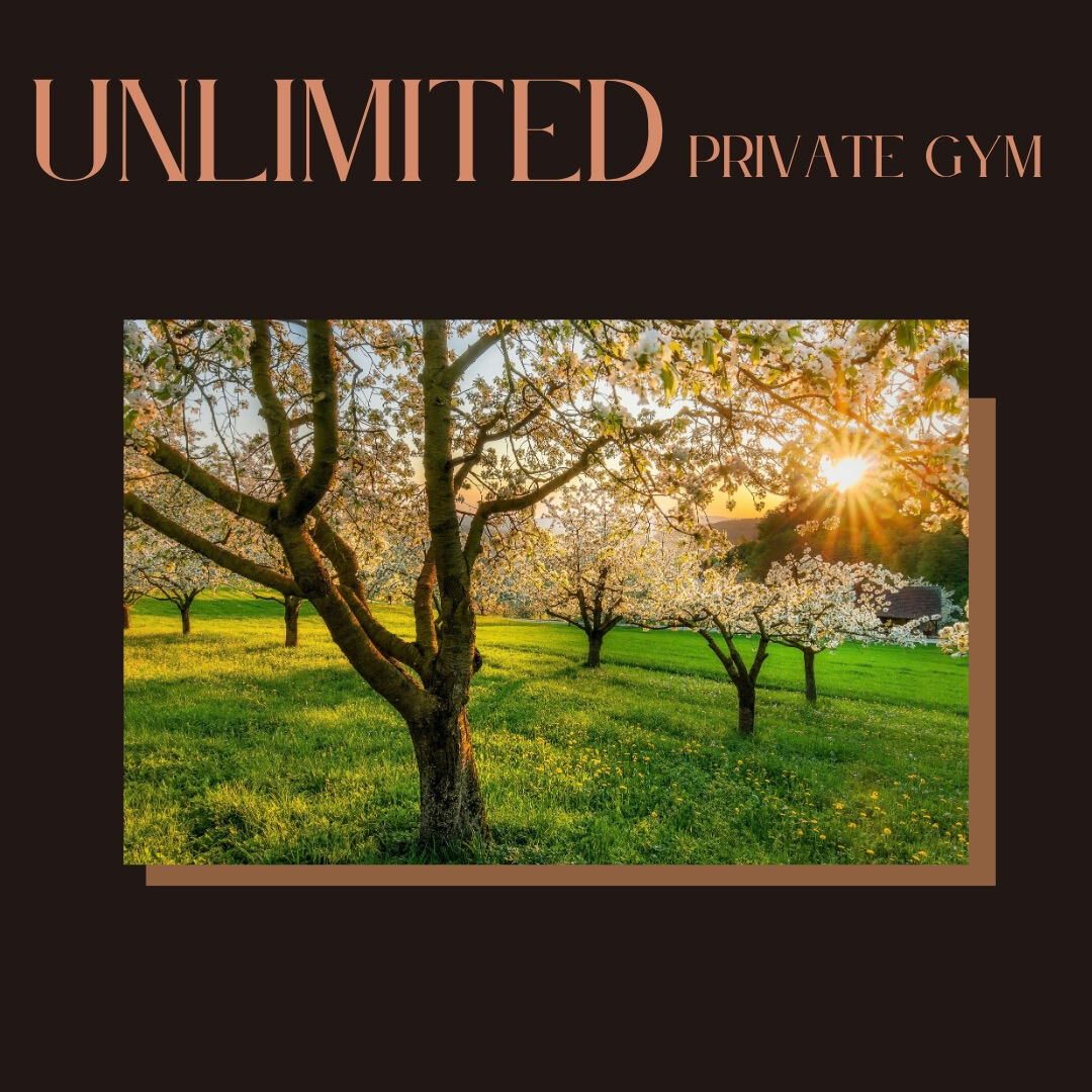 unlimited.privategym 【完全プライベート