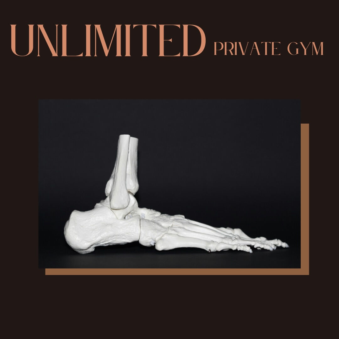unlimited.privategym 【完全プライベート