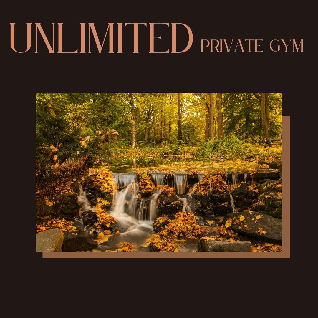 unlimited.privategym 【完全プライベート